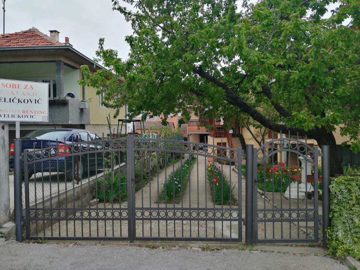 Pansion Velickovic Apartment Niska Banja Exterior photo