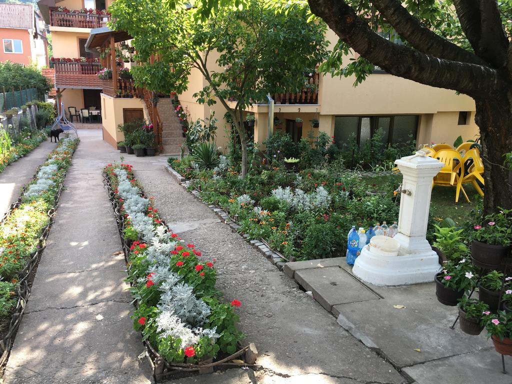 Pansion Velickovic Apartment Niska Banja Exterior photo