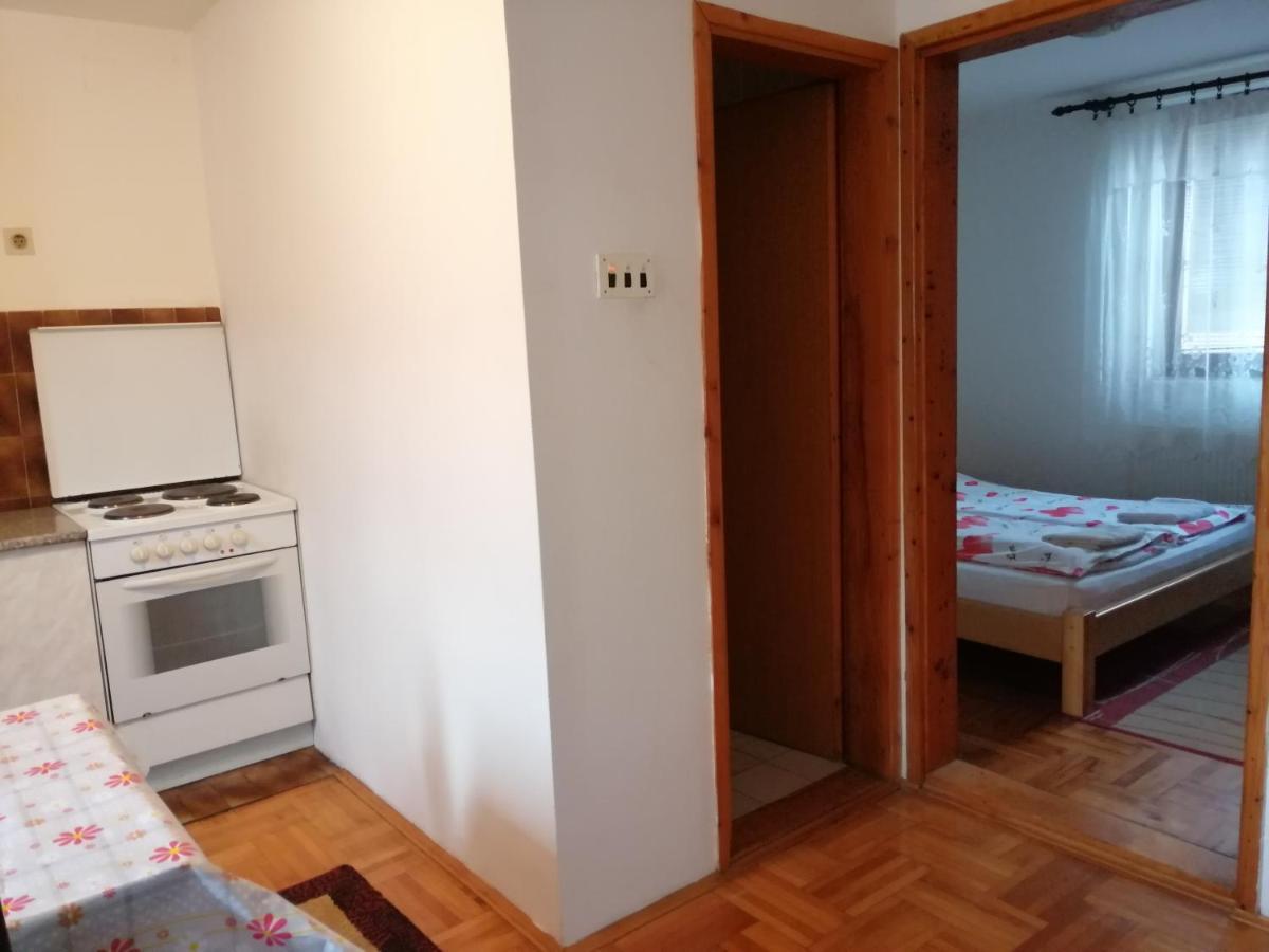 Pansion Velickovic Apartment Niska Banja Exterior photo