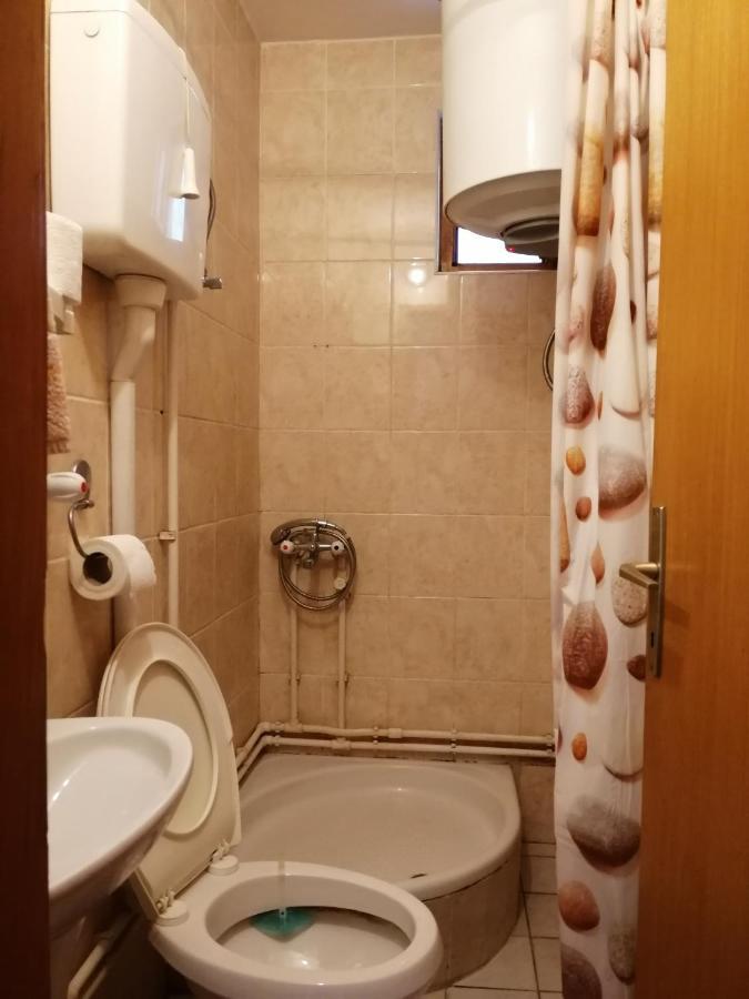 Pansion Velickovic Apartment Niska Banja Exterior photo
