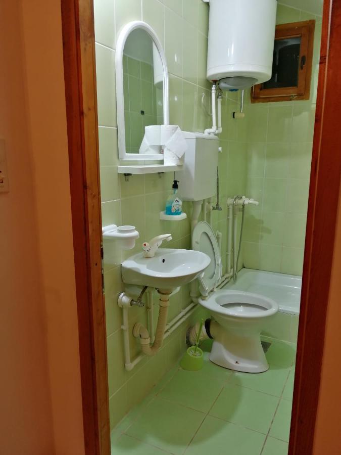 Pansion Velickovic Apartment Niska Banja Exterior photo
