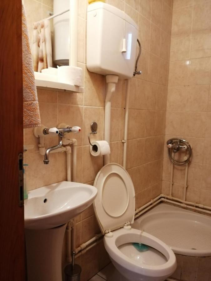 Pansion Velickovic Apartment Niska Banja Exterior photo